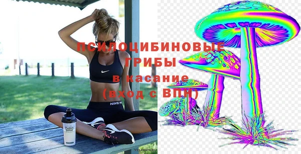 Альфа ПВП Алзамай